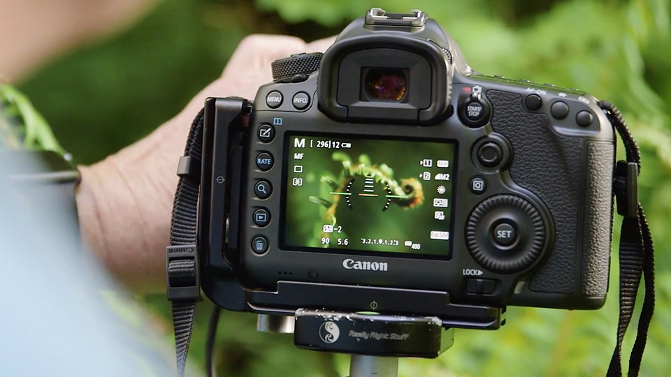 Focusing properly is essential for macro photography