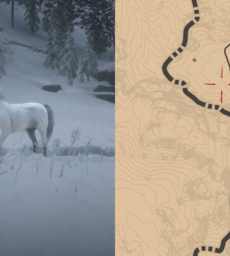 How To Find And Tame The White Arabian Horse In RDR 2
