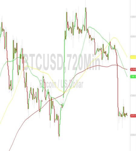 Bitcoin Price Analysis: Bears Eyeing 25363 – 29 August 2023